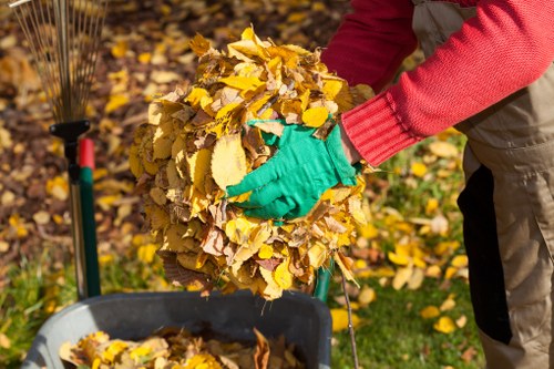 A person wearing a red long-sleeved top and teal-green gloves is seen clearing a large pile of yellow and brown autumn leaves, which are being gathered into an organized bundle. The individual is holding the leaves with both hands, lifting or stacking them above a black wheelbarrow that has a silver metal frame and a black plastic basin. The background features a garden or outdoor area with a mix of green grass and fallen leaves, and some plants or trees are partially visible on the side. The scene is well-lit, suggesting daytime, and illustrates a leaf clearance activity typical of seasonal garden maintenance services in the Euston area, as provided by Office Clearance Euston.
